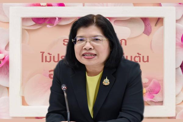กรมพัฒน์วิเคราะห์ธุรกิจไม้ดอก ไม้ประดับ ไม้ยืนต้น มีโอกาสเติบโต ตลาดต้องการ
