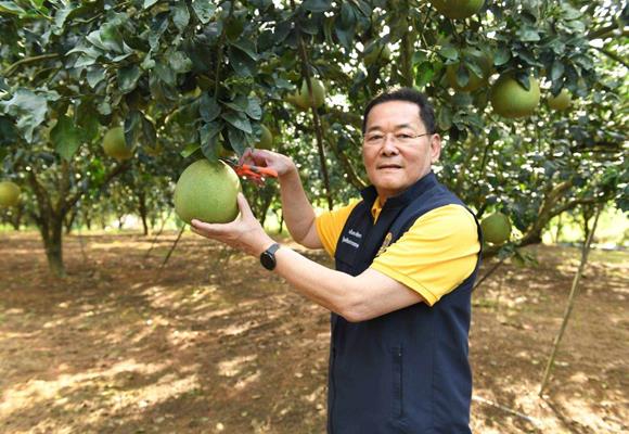 นภินทร ผลักดัน 'สมโอเวียงแก่น' ขึ้นทะเบียน GI เพิ่มรายได้เกษตรกร-ชุมชน     