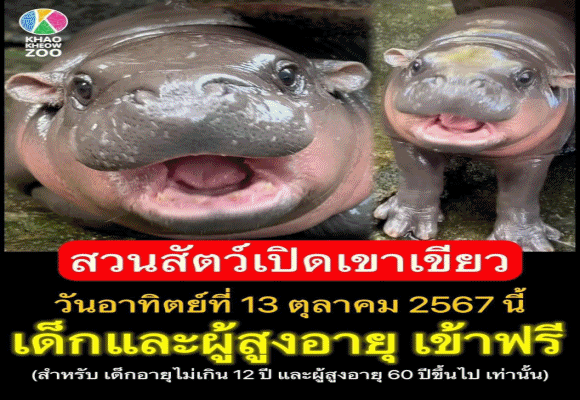 สวนสัตว์เปิดเขาเขียว เปิดให้ผู้สูงอายุ 60 ปีขึ้นไป และเด็กอายุไม่เกิน 12 ปี เข้าชมสวนสัตว์ฟรี