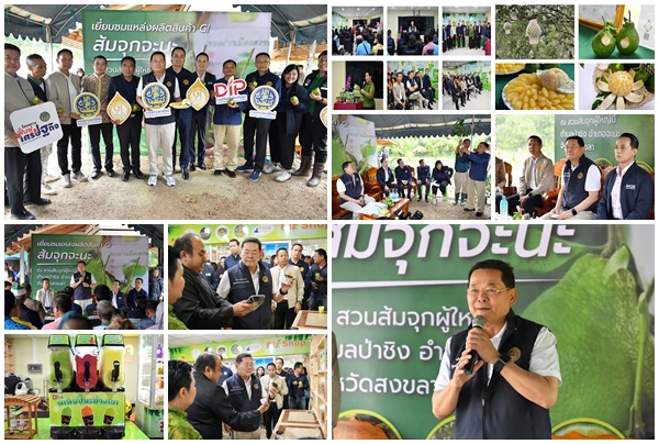นภินทร ชมสวน 'ส้มจุกจะนะ-มะม่วงเบาสงขลา'เผยหลังตีตรา GI ราคาดีขึ้น ขายดีขึ้น