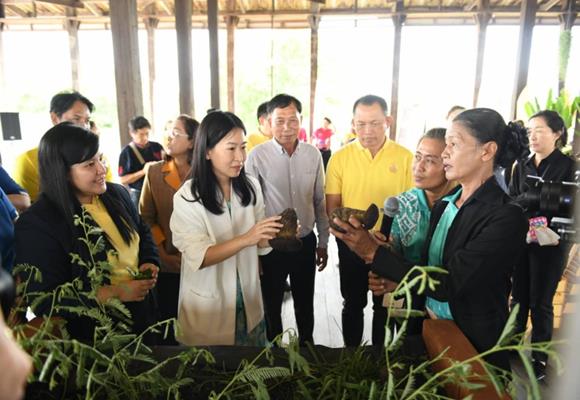 พาณิชย์ ลงพื้นที่เมืองกรุงเก่า ดัน 'เห็นตับเต่า' ขึ้นทะเบียน GI ช่วยเพิ่มรายได้ชุมชน     