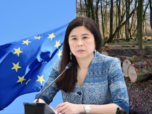พาณิชย์ แจ้งข่าว EU จัดไทยประเทศเสี่ยงต่ำตัดไม้ทำลายป่า คาดส่งออก 7 สินค้ารุ่ง