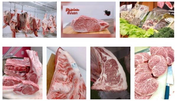 GI เนื้อสุรินทร์