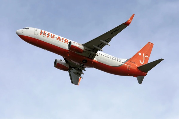 Boeing 737-800, the model that crashed in South Korea, is one of the world’s most popular aircraft