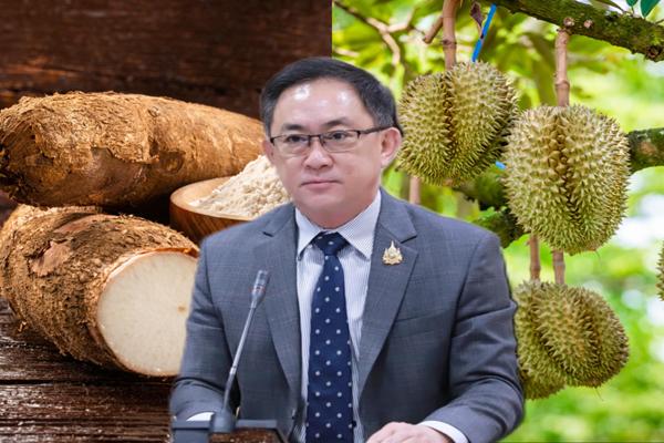 สนค.เจาะลึกส่งออกเกษตร ปี 67 ไทยแชมป์ตลาดโลกเพียบ แต่หลายสินค้าเริ่มสั่นคลอน       
