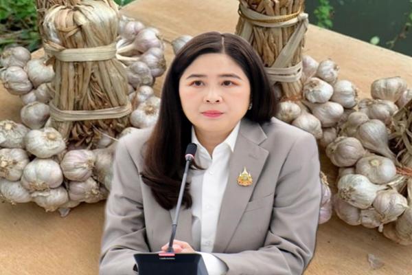 พาณิชย์ แนะผู้ส่งออก ศึกษามาตรฐานกระเทียมบดเคนยา ก่อนวางแผนขายสินค้า    