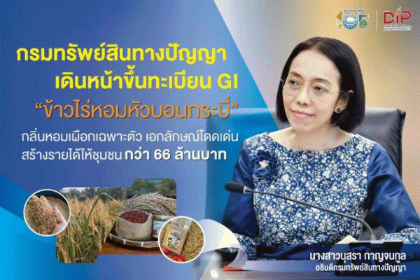 ​พาณิชย์ ขึ้นทะเบียน GI ใหม่ 'ข้าวไร่หอมหัวบอนกระบี่'มั่นใจช่วยเพิ่มรายได้เกษตรกร