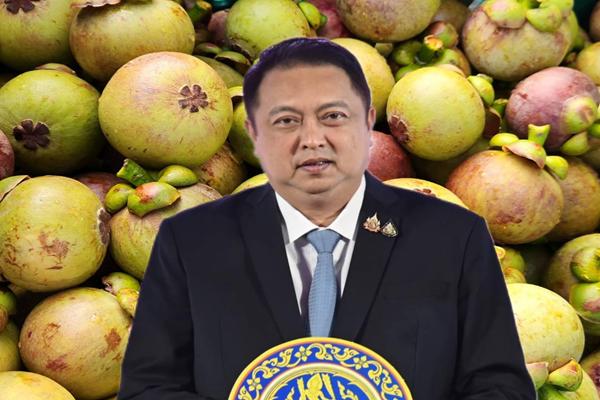 สุชาติ โชว์ผลขับเคลื่อนมาตรการช่วยมังคุดแบบเต็มสูบ ดันราคาทะลุกิโลละ 100 บาท