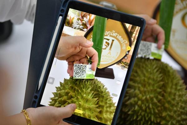พาณิชย์ เปิดตัว GI Smarttrace นำร่อง'ทุเรียนนนท์'สแกนปุ๊บรู้เลยมาจากสวนไหน