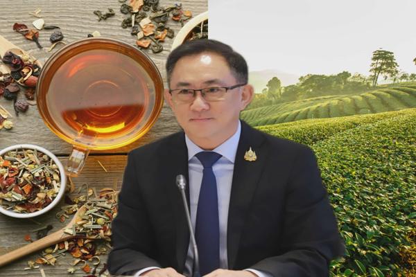 ​สนค.เผยชาไทยมีโอกาสส่งออก แนะเน้นเพิ่มมูลค่าผ่านการสร้างสรรค์และนวัตกรรม