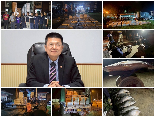 ลักลอบนำเข้าปลากะพงขาว