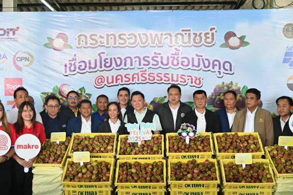 จตุพร ลุยภารกิจแรก นำทีมพาณิชย์ ช่วยแก้ปัญหาราคามังคุด จ.นครศรีธรรมราช