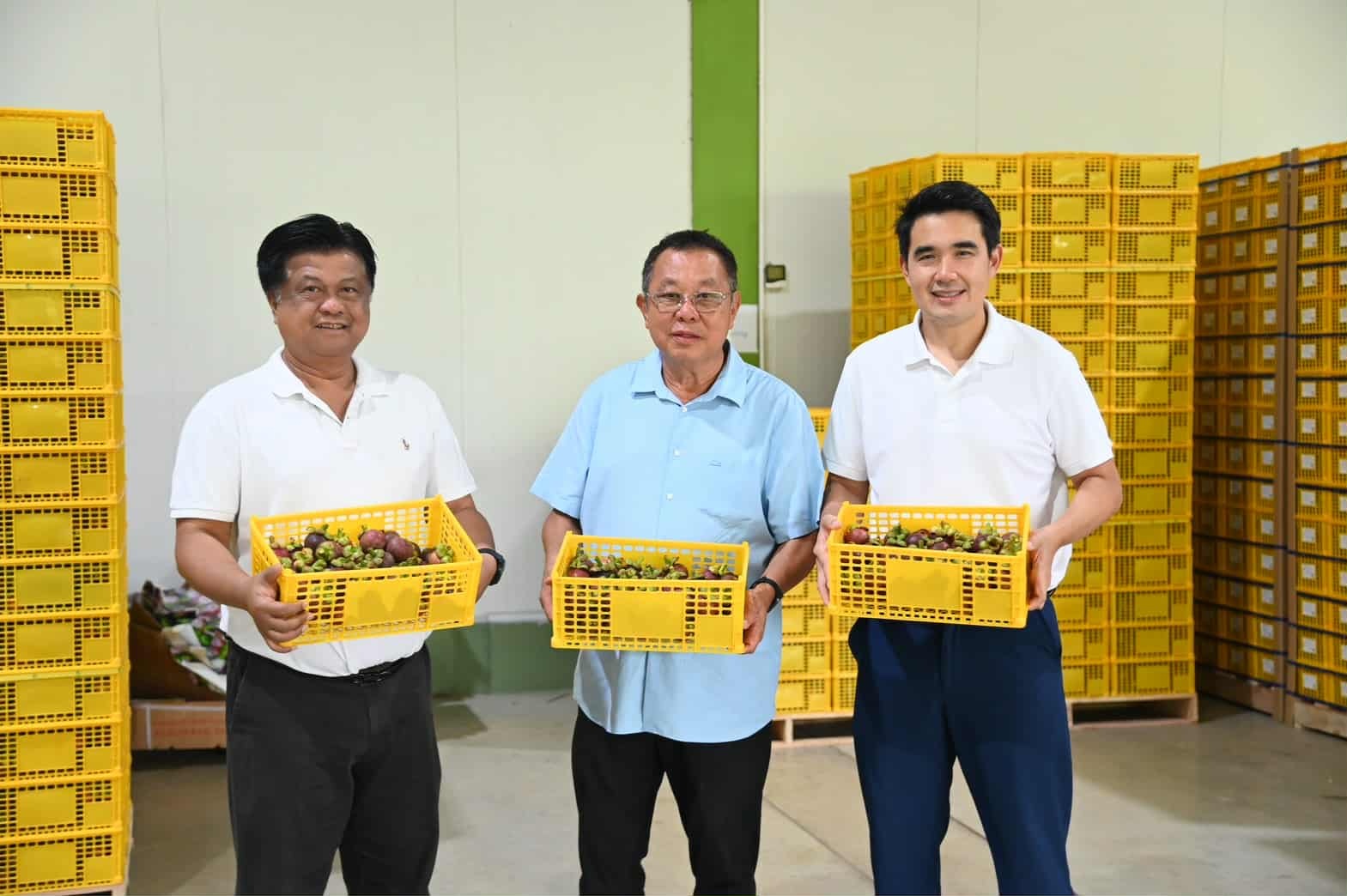 พาณิชย์ ดึง'แม็คโคร โลตัส โลตัส-โกเฟรช'ซื้อมังคุดจันทบุรี กระจายทุกสาขาทั่วประเทศ     
