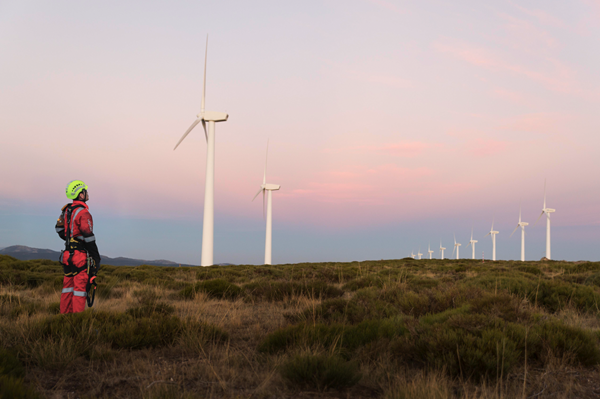 DEXONตรวจสอบกังหันลม