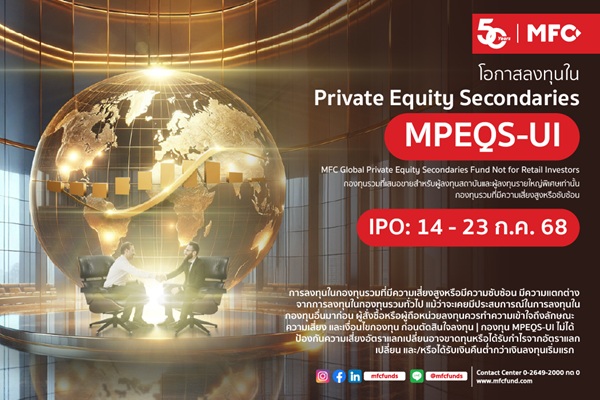 MPEQS UI