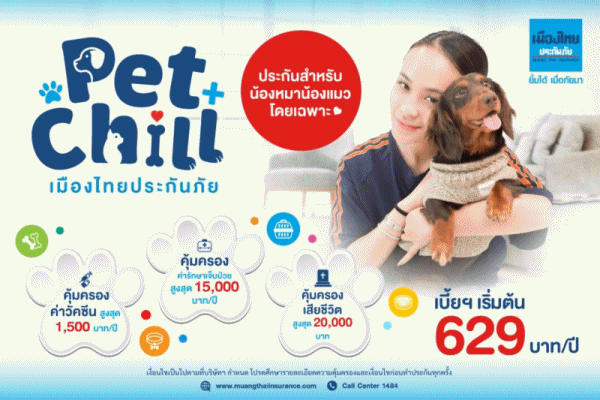 เมืองไทยประกันภัย ส่งโปรดักส์เด็ด ‘ประกันสัตว์เลี้ยง Pet Chill’ รับ Pet Humanization เพราะสัตว์เลี้ยงคือสมาชิกครอบครัว
