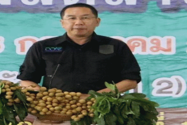 ขายลำไยแล้ว11ตัน