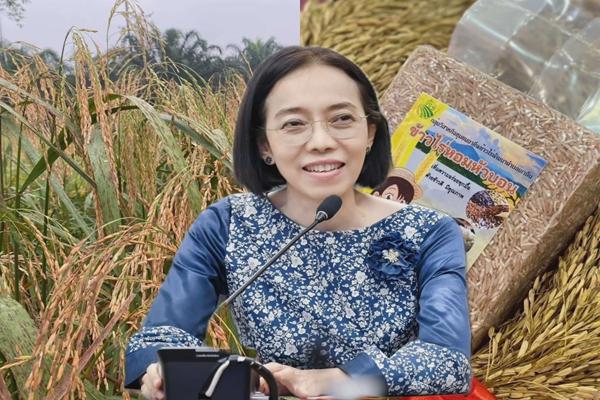 ข้าวไร่หอมหัวบอน