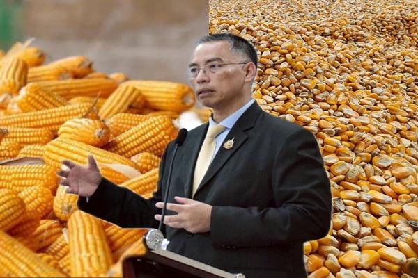 ประกาศดีเดย์