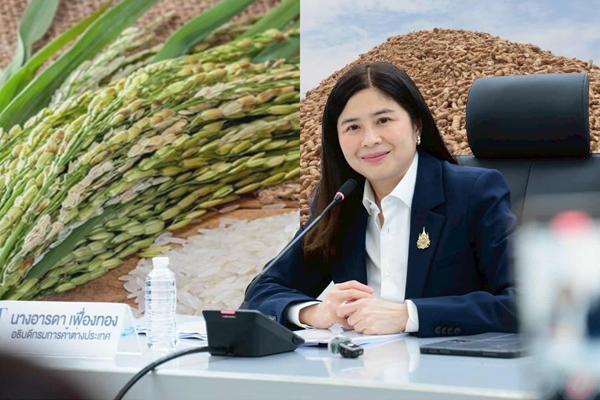 ส่งออกข้าว