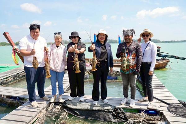 กุ้งมังกร 7สีภูเก็ต