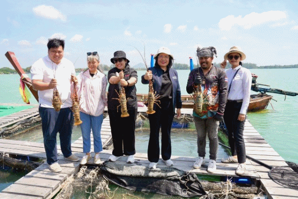 พาณิชย์ บุกแพกุ้งมังกร 7 สีภูเก็ต หนุนคุมคุณภาพ ดันเป็นวัตถุดิบพรีเมียมทำอาหาร