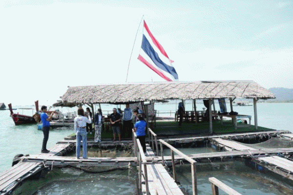 กรมทรัพย์สินทางปัญญา ยก 'กุ้งมังกร 7 สีภูเก็ต' เป็น GI น้องใหม่ ชูคุณภาพระดับพรีเมียม สมฉายา'ฟัวกราส์แห่งท้องทะเล'สร้างรายได้เข้าจังหวัดกว่า 65 ล้านบาทต่อปี