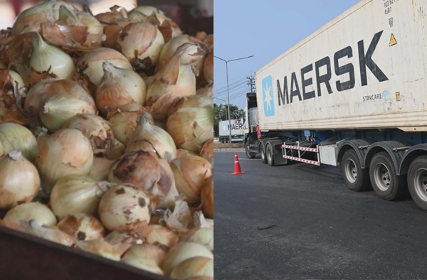 ขนย้ายหอมหัวใหญ่