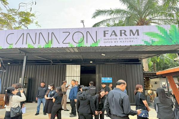 กรมพัฒน์ จับมือพันธมิตร บุกตรวจฟาร์มกัญชาทุนต่างชาติ รวบนอมินี 4 ราย