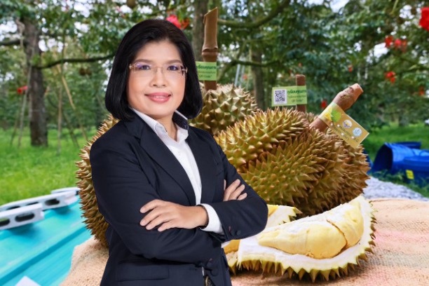 ทุเรียน GI