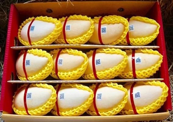 น้ำดอกไม้สีทอง