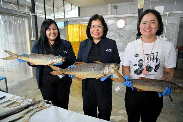 ปลากุเลาเค็ม