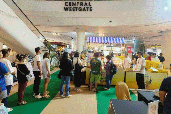 พาณิชย์ ลุยช่วยเกษตรกร ดึงห้าง ตลาด ซื้อมะพร้าวน้ำหอม เปิดจุดให้ขายทั่วกรุงเทพฯ