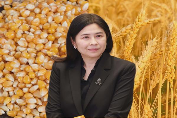 ออกกฎระเบียบ4 ฉบับ