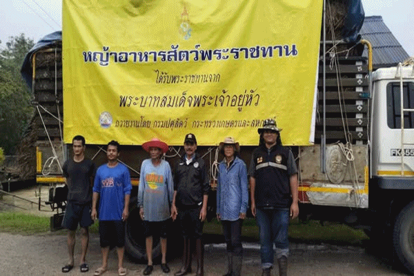 กรมปศุสัตว์ ขานรับข้อสั่งการ รมว.กษ เตรียมพร้อมเสบียงอาหารสัตว์ตามแผนเผชิญภัยพิบัติด้านปศุสัตว์ พร้อมเร่งช่วยเหลือเกษตรกรผู้เลี้ยงสัตว์ที่ประสบอุทกภัยภาคใต้