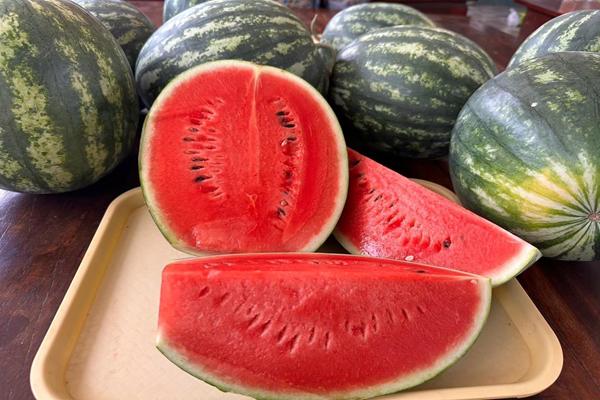 แตงโมหวานยโสธร