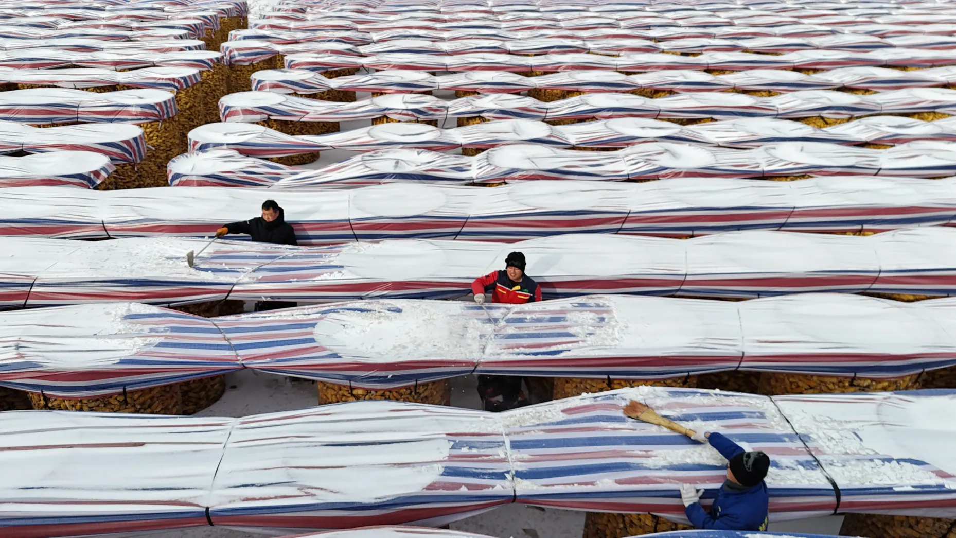 Inside China&rsquo;s push to feed 1.4 billion people without U.S. crops