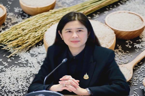 ข้าวอินทรีย์ไทย