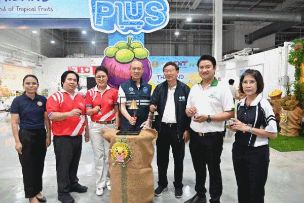 จับมือGoWholesale