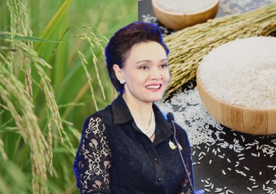 จีนซื้อข้าว