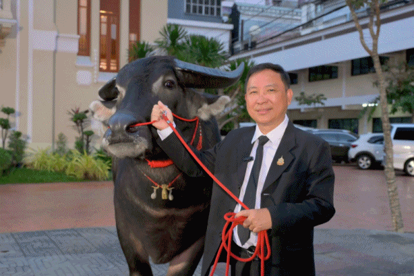 สืบสานรักษาต่อยอด