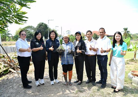 แห้วสุพรรณ