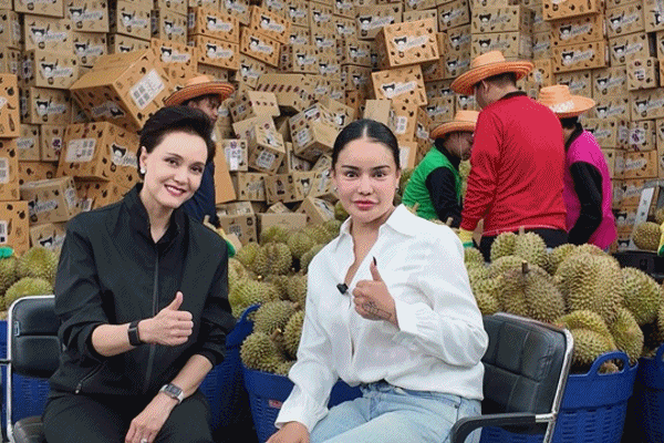 พาณิชย์ ดันอินฟลูเอนเซอร์ลุยไลฟ์หน้าสวน ขายทุเรียนไทยตัดสด ส่งตรงถึงผู้บริโภค เพิ่มช่องทางกระจายสินค้าให้เกษตรกร