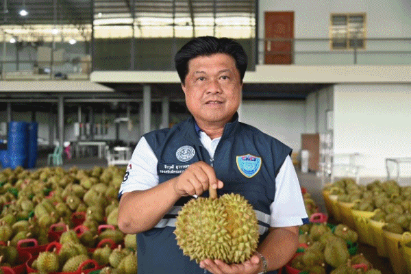 ดึงล้งใหญ่จันทบุรี