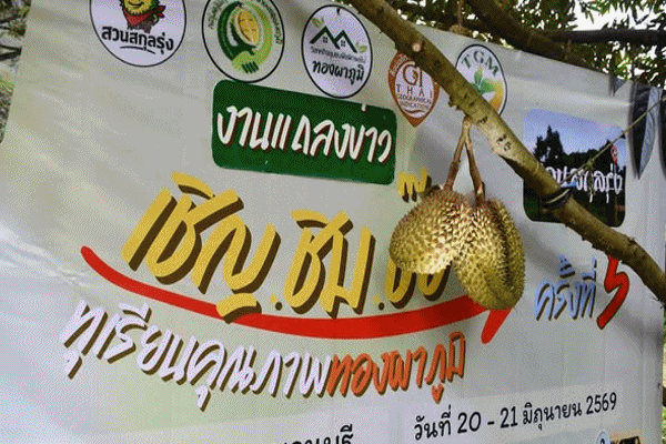 ทองผาภูมิGI