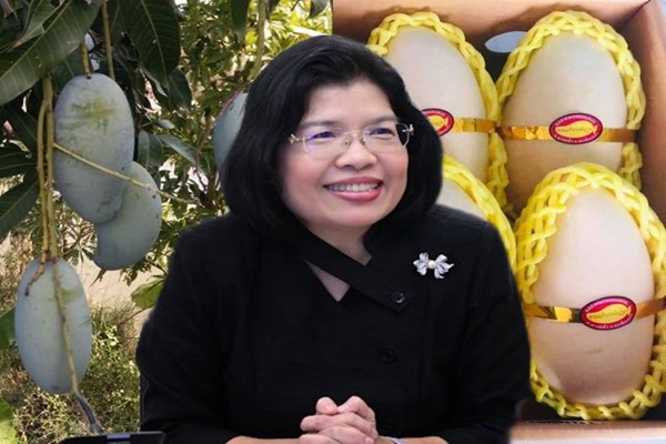 วันมะม่วงแห่งชาติ