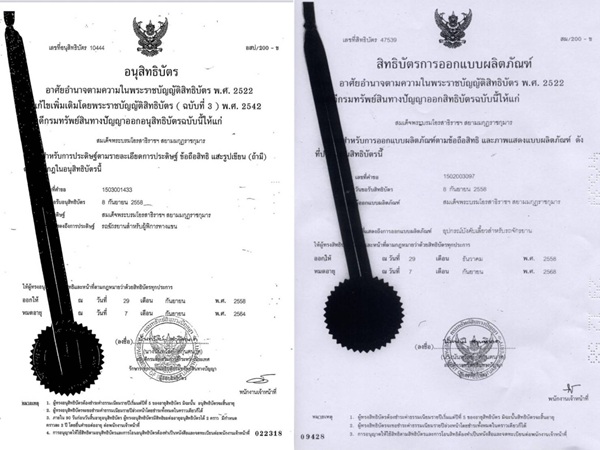 สำหรับคนพิการ