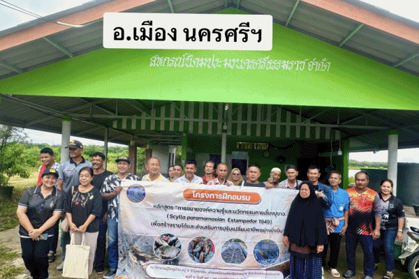 เพาะเลี้ยงปูขาว