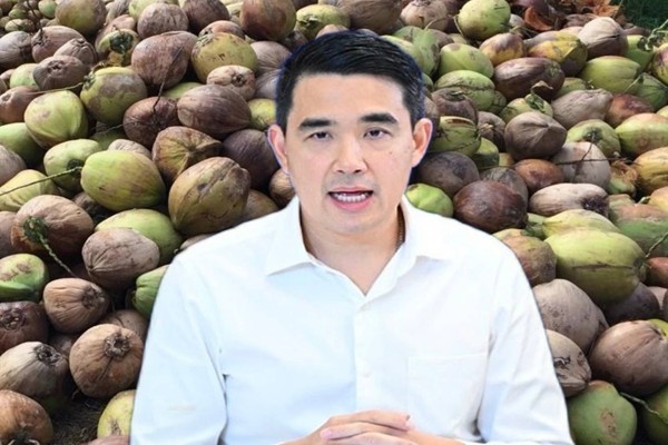 แก้ปัญหามะพร้าวแกง