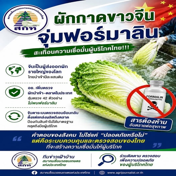 ผักกาดขาวจีนจุ่มฟอร์มาลิน สะเทือนความเชื่อมั่นผู้บริโภคไทย!!!...